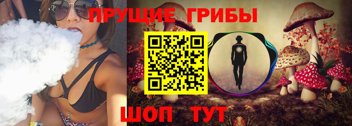 Галлюциногенные грибы Psilocybe Алексеевка